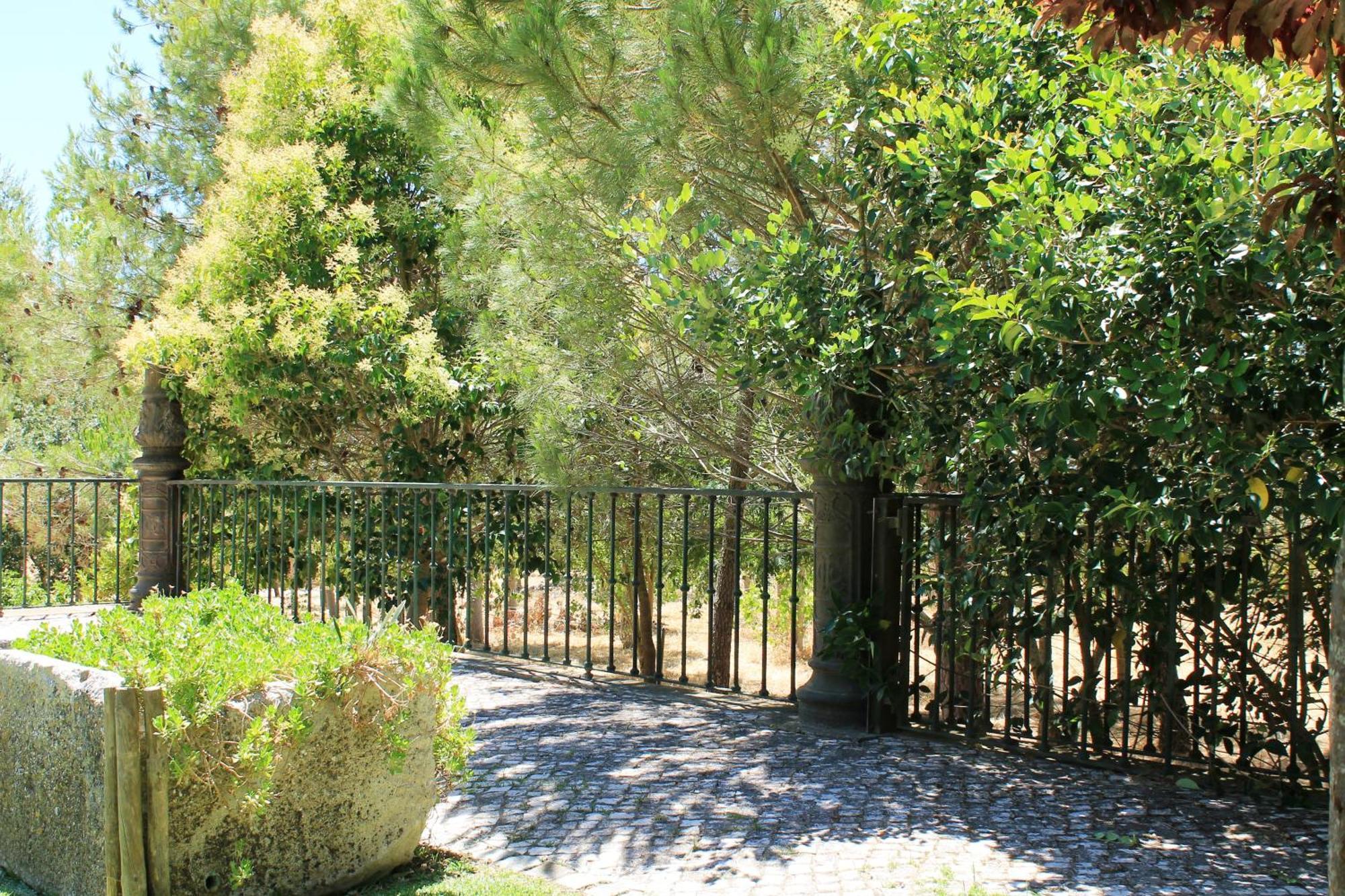 Hébergement de vacances Quinta Do Casal De Santo Antonio