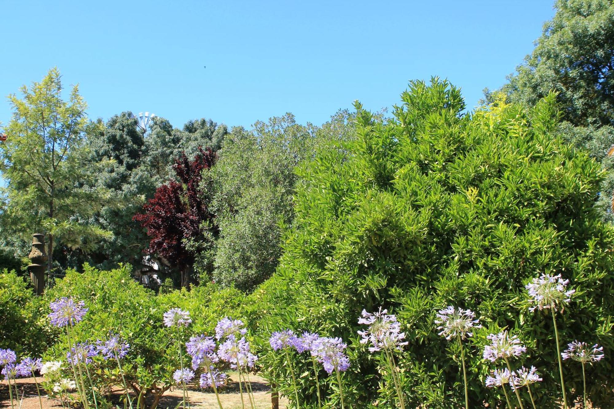 Quinta Do Casal De Santo Antonio Alenquer