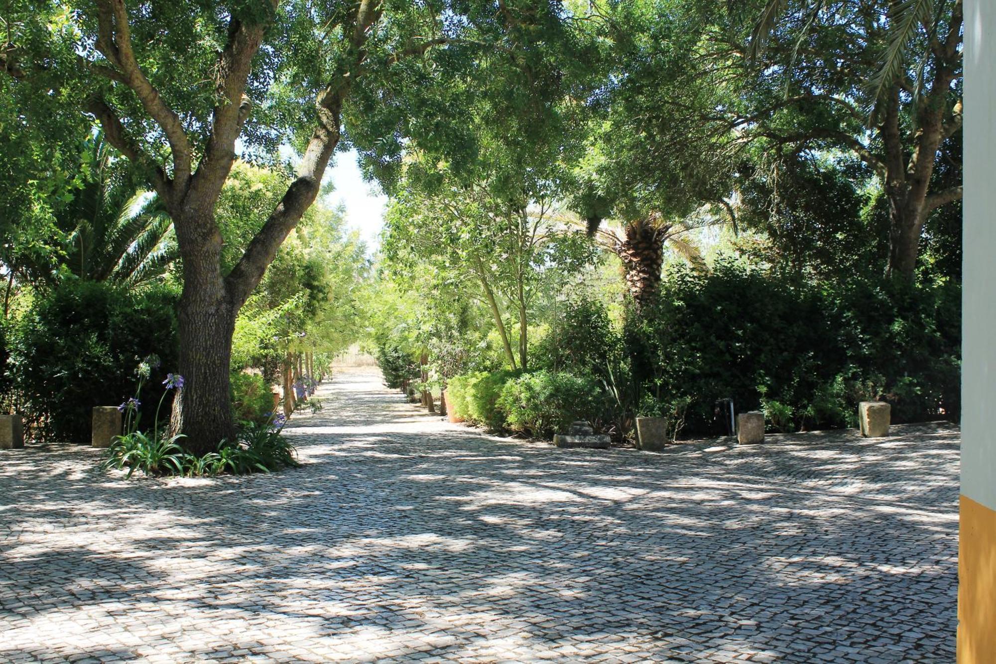 Quinta Do Casal De Santo Antonio