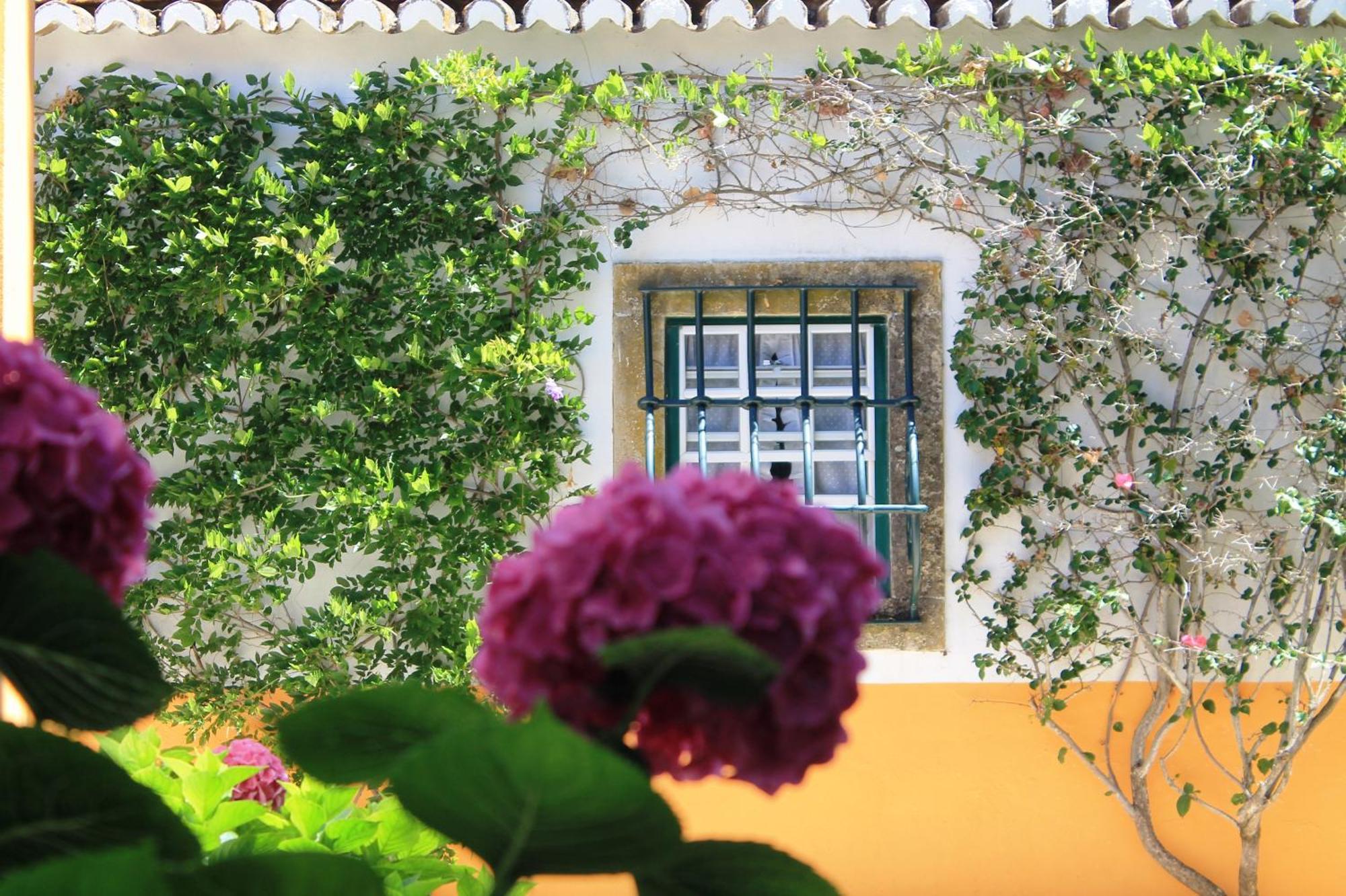 Quinta Do Casal De Santo Antonio Dom wakacyjny